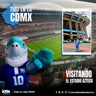 Descripción IMG